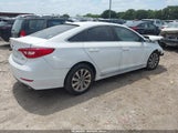 Hyundai Sonata Sport 5NPE34AFXHH582890 photo