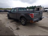 Ford F-150 Stx/Xl/Xlt 1FTEX1CM7DKF88401 снимка