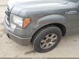 Ford F-150 Stx/Xl/Xlt 1FTEX1CM7DKF88401 снимка