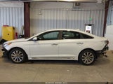 Hyundai Sonata Sport 5NPE34AF5GH271947 fotografie