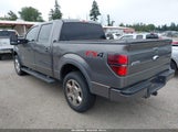 Ford F-150 Fx4/King Ranch/Lariat/Platinum/Xl/Xlt 1FTFW1ET6CFB66946 fotografie