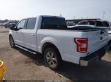Ford F-150 King Ranch/Lariat/Platinum/Xl/Xlt 1FTEW1C50KKD42234 fotografie