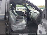 Ford F-150 Xlt 1FTFW1EF8EFB75953 fotografie