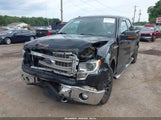 Ford F-150 Xlt 1FTFW1EF8EFB75953 fotografie