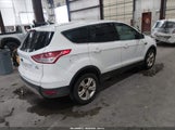 Ford Escape Se 1FMCU9GX2FUB50326 fotografie
