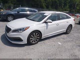 Hyundai Sonata Sport 5NPE34AF6GH316457 снимка