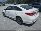 Hyundai Sonata Sport 5NPE34AF6GH316457 снимка