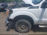 Ford F-250 Xl/Xlt 1FDBF2B68FED73119 снимка