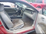 Ford Mustang V6 1ZVHT80N595104937 photo