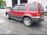 Ford Escape Xlt/Xlt Sport 1FMYU931X6KC03485 fotografie