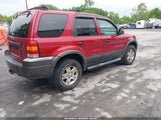 Ford Escape Xlt/Xlt Sport 1FMYU931X6KC03485 fotografie