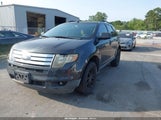 Ford Edge Sel 2FMDK38C47BB42030 fotografie