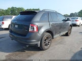 Ford Edge Sel 2FMDK38C47BB42030 fotografie