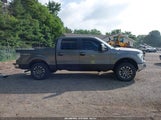 Ford F-150 Fx4/King Ranch/Lariat/Platinum/Xl/Xlt 1FTFW1EF5BFB96657 fotografie