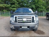 Ford F-150 Fx4/King Ranch/Lariat/Platinum/Xl/Xlt 1FTFW1EF5BFB96657 photo