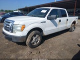 Ford F-150 Fx4/King Ranch/Lariat/Platinum/Xl/Xlt 1FTPW14V89FB07154 снимка