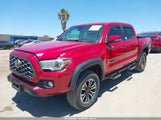 Toyota Tacoma Trd Off-Road 3TMCZ5AN1LM354217 photo