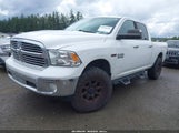 Ram  Big Horn 1C6RR7TM4GS251386 fotografie