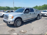 Ford F-150 Fx4/King Ranch/Lariat/Limited/Platinum/Xl/Xlt 1FTFW1ET7DFA00534 fotografie