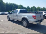 Ford F-150 Fx4/King Ranch/Lariat/Limited/Platinum/Xl/Xlt 1FTFW1ET7DFA00534 fotografie