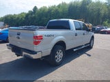 Ford F-150 Fx4/King Ranch/Lariat/Limited/Platinum/Xl/Xlt 1FTFW1ET7DFA00534 fotografie