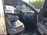 Ford F-150 Fx4/King Ranch/Lariat/Limited/Platinum/Xl/Xlt 1FTFW1ET7DFA00534 fotografie