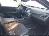 Hyundai Sonata Sport 5NPE34AF9HH572139 fotografie