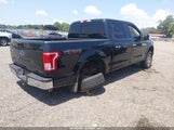 Ford F-150 Xlt 1FTEW1EP3JFB25881 fotografie
