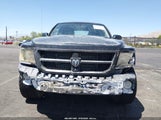 Ram Dakota Bighorn/Lonestar 1D7RW3GK1BS521322 снимка