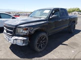 Ram Dakota Bighorn/Lonestar 1D7RW3GK1BS521322 снимка