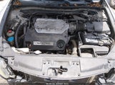 Honda Accord 3.5 Ex-L 1HGCP36878A003508 снимка