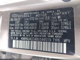 Hyundai Veracruz Limited KM8NU4CC4BU144519 снимка