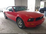 Ford Mustang V6 1ZVFT84N865217553 fotografie