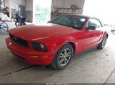 Ford Mustang V6 1ZVFT84N865217553 fotografie