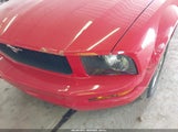 Ford Mustang V6 1ZVFT84N865217553 fotografie
