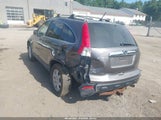 Honda Cr-V Ex-L 5J6RE48729L038434 photo