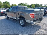Ford F-150 Fx4/King Ranch/Lariat/Platinum/Xl/Xlt 1FTFW1EF4DKD34196 fotografie