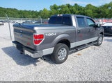 Ford F-150 Fx4/King Ranch/Lariat/Platinum/Xl/Xlt 1FTFW1EF4DKD34196 fotografie