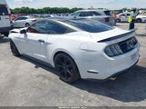 Ford Mustang Ecoboost Fastback 1FA6P8THXL5113876 fotografie