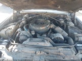 Cadillac Eldorado 1G6AL57N3BE613975 photo