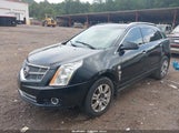 Cadillac Srx Luxury Collection 3GYFNAE3XCS633617 fotografie