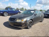 Acura Tl 19UUA66206A059631 снимка