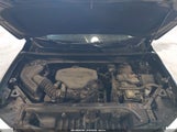 GMC Acadia Fwd Sle 1GKKNRLS0LZ124625 fotografie