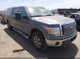Ford F-150 Fx4/King Ranch/Lariat/Platinum/Xl/Xlt 1FTFW1ET4CKD69065 fotografie