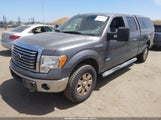 Ford F-150 Fx4/King Ranch/Lariat/Platinum/Xl/Xlt 1FTFW1ET4CKD69065 photo