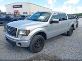 Ford F-150 Fx4/King Ranch/Lariat/Platinum/Xl/Xlt 1FTFW1EF2BFB95613 fotografie