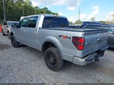 Ford F-150 Fx4/King Ranch/Lariat/Platinum/Xl/Xlt 1FTFW1EF2BFB95613 fotografie