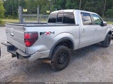 Ford F-150 Fx4/King Ranch/Lariat/Platinum/Xl/Xlt 1FTFW1EF2BFB95613 fotografie