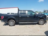 Ford F-150 Fx2 Sport/Xl/Xlt 1FTEW1C82AFD10872 fotografie
