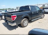 Ford F-150 Fx2 Sport/Xl/Xlt 1FTEW1C82AFD10872 fotografie